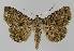  ( - BC EF Alc 01071)  @14 [ ] Copyright (2010) Unspecified Research Collection of Egbert Friedrich