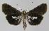  ( - BC EF Alc 01080)  @13 [ ] Copyright (2010) Unspecified Research Collection of Egbert Friedrich
