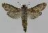  ( - BC EF Alc 01082)  @11 [ ] Copyright (2010) Unspecified Research Collection of Egbert Friedrich