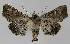  ( - BC EF Alc 01085)  @13 [ ] Copyright (2010) Unspecified Research Collection of Egbert Friedrich