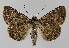  ( - BC EF Alc 01088)  @14 [ ] Copyright (2010) Unspecified Research Collection of Egbert Friedrich