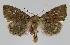  ( - BC EF Alc 01094)  @13 [ ] Copyright (2010) Unspecified Research Collection of Egbert Friedrich