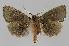  ( - BC EF Alc 01094)  @13 [ ] Copyright (2010) Unspecified Research Collection of Egbert Friedrich