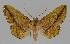  ( - BC EF Alc 01096)  @14 [ ] Copyright (2010) Unspecified Research Collection of Egbert Friedrich