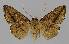  ( - BC EF Alc 01096)  @13 [ ] Copyright (2010) Unspecified Research Collection of Egbert Friedrich