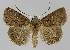  ( - BC EF Alc 01097)  @14 [ ] Copyright (2010) Unspecified Research Collection of Egbert Friedrich