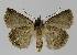  ( - BC EF Alc 01097)  @13 [ ] Copyright (2010) Unspecified Research Collection of Egbert Friedrich