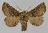 ( - BC EF Alc 01098)  @14 [ ] Copyright (2010) Unspecified Research Collection of Egbert Friedrich