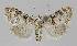  ( - BC EF Alc 01099)  @14 [ ] Copyright (2010) Unspecified Research Collection of Egbert Friedrich