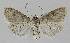  ( - BC EF Alc 01099)  @13 [ ] Copyright (2010) Unspecified Research Collection of Egbert Friedrich