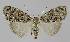  ( - BC EF Alc 01102)  @14 [ ] Copyright (2010) Unspecified Research Collection of Egbert Friedrich