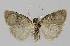  ( - BC EF Alc 01105)  @13 [ ] Copyright (2010) Unspecified Research Collection of Egbert Friedrich