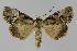  ( - BC EF Alc 01107)  @14 [ ] Copyright (2010) Unspecified Research Collection of Egbert Friedrich