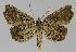  ( - BC EF Alc 01112)  @13 [ ] Copyright (2010) Unspecified Research Collection of Egbert Friedrich
