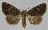  ( - BC EF Alc 01114)  @13 [ ] Copyright (2010) Unspecified Research Collection of Egbert Friedrich