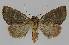  ( - BC EF Alc 01114)  @13 [ ] Copyright (2010) Unspecified Research Collection of Egbert Friedrich