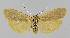  ( - BC EF Alc 01124)  @14 [ ] Copyright (2010) Unspecified Research Collection of Egbert Friedrich