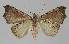  ( - BC EF Alc 01129)  @12 [ ] Copyright (2010) Unspecified Research Collection of Egbert Friedrich