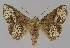  ( - BC EF Alc 01132)  @14 [ ] Copyright (2010) Unspecified Research Collection of Egbert Friedrich