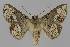  ( - BC EF Alc 01132)  @13 [ ] Copyright (2010) Unspecified Research Collection of Egbert Friedrich