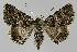  ( - BC EF Alc 01149)  @13 [ ] Copyright (2010) Unspecified Research Collection of Egbert Friedrich