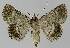  ( - BC EF Alc 01149)  @13 [ ] Copyright (2010) Unspecified Research Collection of Egbert Friedrich