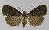  ( - BC EF Alc 01151)  @13 [ ] Copyright (2010) Unspecified Research Collection of Egbert Friedrich