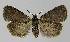  ( - BC EF Alc 01151)  @13 [ ] Copyright (2010) Unspecified Research Collection of Egbert Friedrich