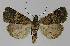  ( - BC EF Alc 01154)  @14 [ ] Copyright (2010) Unspecified Research Collection of Egbert Friedrich