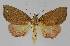  ( - BC EF Alc 01155)  @14 [ ] Copyright (2010) Unspecified Research Collection of Egbert Friedrich
