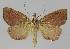  ( - BC EF Alc 01155)  @13 [ ] Copyright (2010) Unspecified Research Collection of Egbert Friedrich