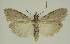  ( - BC EF Alc 01582)  @13 [ ] Copyright (2010) Unspecified Research Collection of Egbert Friedrich