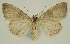  ( - BC EF Alc 01585)  @13 [ ] Copyright (2010) Unspecified Research Collection of Egbert Friedrich