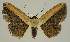  ( - BC EF Alc 01588)  @14 [ ] Copyright (2010) Unspecified Research Collection of Egbert Friedrich