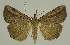  ( - BC EF Alc 01591)  @14 [ ] Copyright (2010) Unspecified Research Collection of Egbert Friedrich