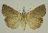  ( - BC EF Alc 01591)  @13 [ ] Copyright (2010) Unspecified Research Collection of Egbert Friedrich