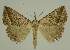  ( - BC EF Alc 01593)  @14 [ ] Copyright (2010) Unspecified Research Collection of Egbert Friedrich