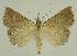  ( - BC EF Alc 01593)  @13 [ ] Copyright (2010) Unspecified Research Collection of Egbert Friedrich