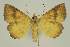  ( - BC EF Alc 01598)  @13 [ ] Copyright (2010) Unspecified Research Collection of Egbert Friedrich