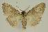  ( - BC EF Alc 01601)  @13 [ ] Copyright (2010) Unspecified Research Collection of Egbert Friedrich
