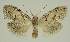  ( - BC EF Alc 01602)  @11 [ ] Copyright (2010) Unspecified Research Collection of Egbert Friedrich