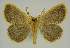  ( - BC EF Alc 01603)  @12 [ ] Copyright (2010) Unspecified Research Collection of Egbert Friedrich