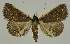  ( - BC EF Alc 01605)  @14 [ ] Copyright (2010) Unspecified Research Collection of Egbert Friedrich
