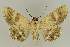  ( - BC EF Lep 02765)  @13 [ ] Copyright (2010) Unspecified Research Collection of Egbert Friedrich