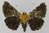  ( - BC EF Lep 00140)  @13 [ ] Copyright (2010) Unspecified Research Collection of Egbert Friedrich