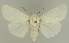  ( - BC EF Lep 03065)  @14 [ ] Copyright (2010) Unspecified Research Collection of Egbert Friedrich
