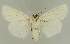  ( - BC EF Lep 03065)  @13 [ ] Copyright (2010) Unspecified Research Collection of Egbert Friedrich