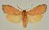  ( - BC EF Lep 03143)  @13 [ ] Copyright (2010) Unspecified Research Collection of Egbert Friedrich