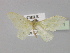  ( - BC ZSM Lep 30371)  @13 [ ] CreativeCommons - Attribution Non-Commercial Share-Alike (2010) Unspecified SNSB, Zoologische Staatssammlung Muenchen