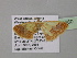  ( - BC ZSM Lep 35360)  @13 [ ] CreativeCommons - Attribution Non-Commercial Share-Alike (2010) Unspecified SNSB, Zoologische Staatssammlung Muenchen